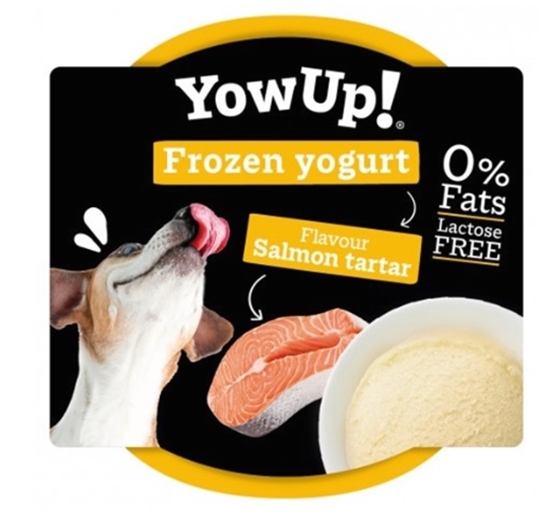 Picture of YowUp! Ice Cream Yogurt SALMON TARTAR